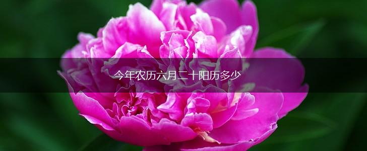 今年农历六月二十阳历多少,第1张
