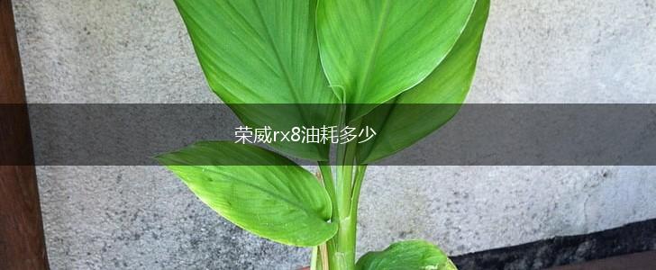 荣威rx8油耗多少,第1张