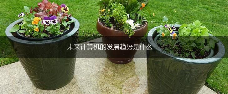 未来计算机的发展趋势是什么,第1张