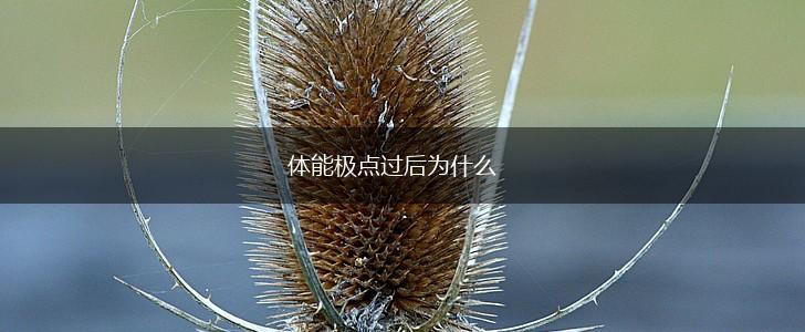 体能极点过后为什么,第1张
