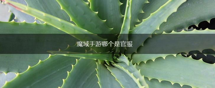 魔域手游哪个是官服,第1张