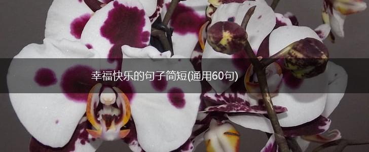 幸福快乐的句子简短(通用60句),第1张