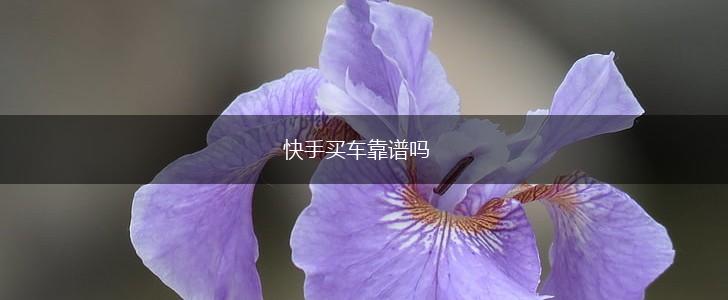 快手买车靠谱吗,第1张
