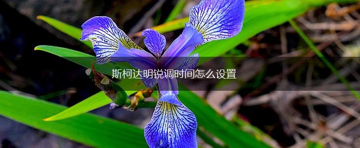 斯柯达明锐调时间怎么设置,第1张