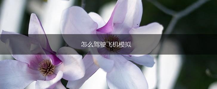 怎么驾驶飞机模拟,第1张