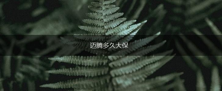 迈腾多久大保,第1张