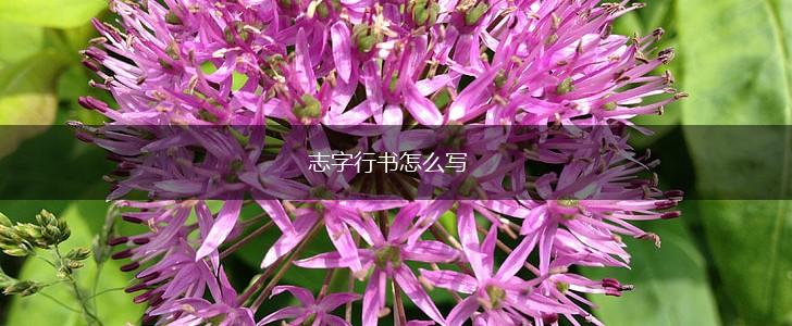 志字行书怎么写,第1张