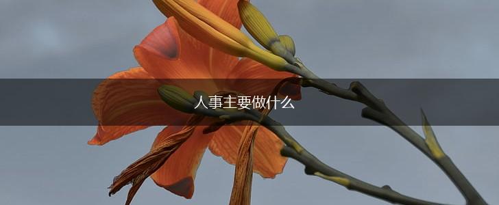 人事主要做什么,第1张