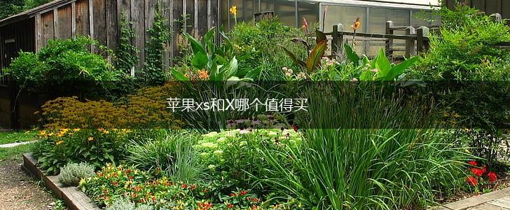 苹果xs和X哪个值得买,第1张