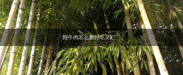 炖牛肉怎么做好吃又烂,第1张