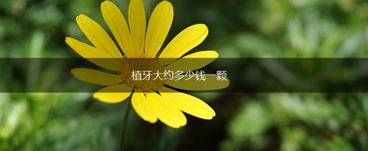 植牙大约多少钱一颗,第1张