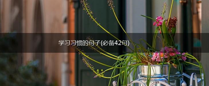 学习习惯的句子(必备42句),第1张