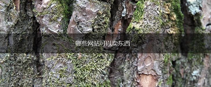 哪些网站可以卖东西,第1张