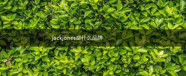 jackjones是什么品牌,第1张