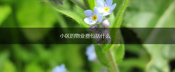 小区的物业费包括什么,第1张