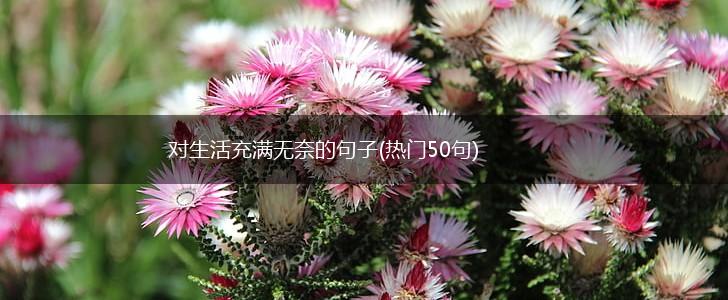 对生活充满无奈的句子(热门50句),第1张