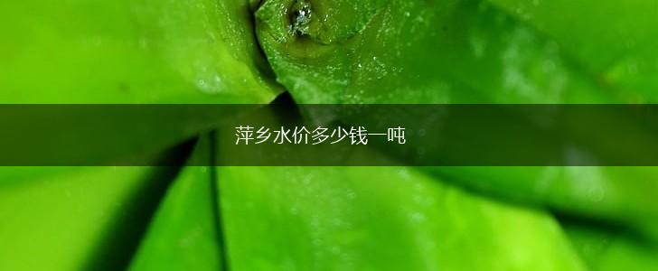 萍乡水价多少钱一吨,第1张