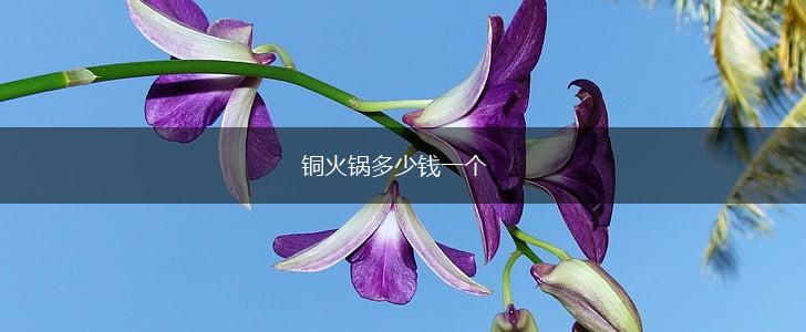 铜火锅多少钱一个,第1张