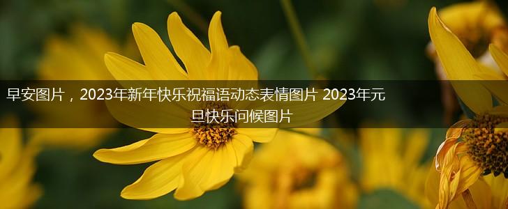 早安图片，2023年新年快乐祝福语动态表情图片 2023年元旦快乐问候图片,第1张