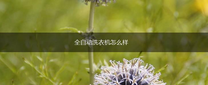全自动洗衣机怎么样,第1张