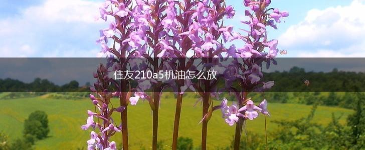 住友210a5机油怎么放,第1张