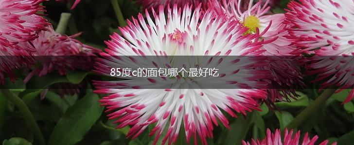 85度c的面包哪个最好吃,第1张