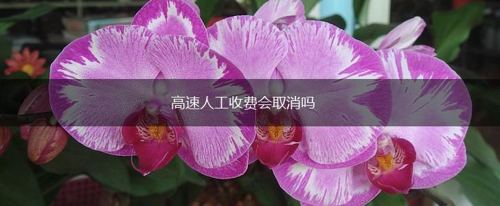 高速人工收费会取消吗,第1张
