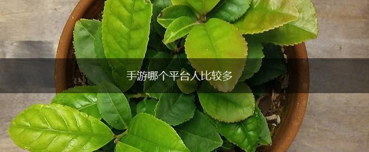手游哪个平台人比较多,第1张