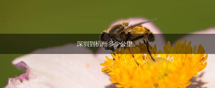 深圳到杭州多少公里,第1张
