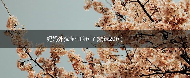 妈妈外貌描写的句子(精选20句),第1张