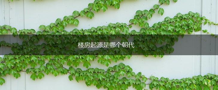 楼房起源是哪个朝代,第1张