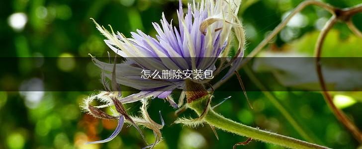 怎么删除安装包,第1张
