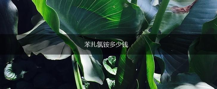 苯扎氯铵多少钱,第1张
