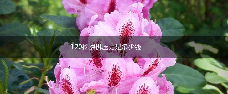 120挖掘机压力是多少钱,第1张