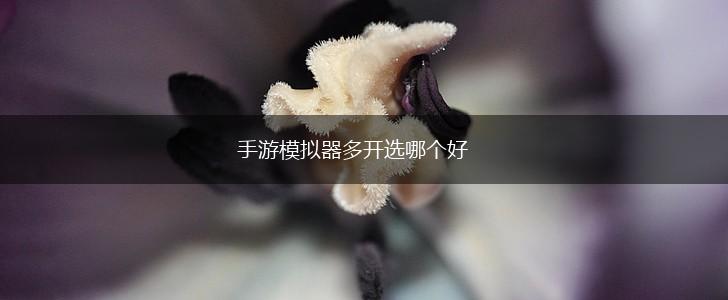 手游模拟器多开选哪个好,第1张