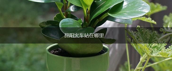 昆阳火车站在哪里,第1张