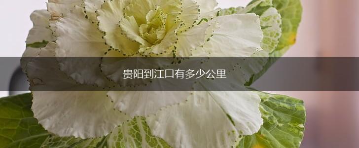 贵阳到江口有多少公里,第1张