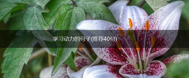 学习动力的句子(推荐40句),第1张