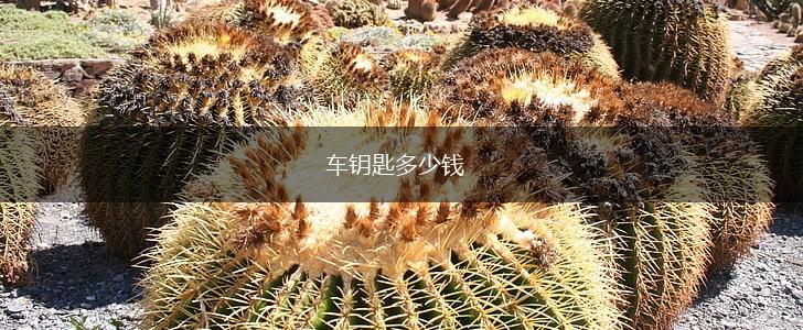 车钥匙多少钱,第1张