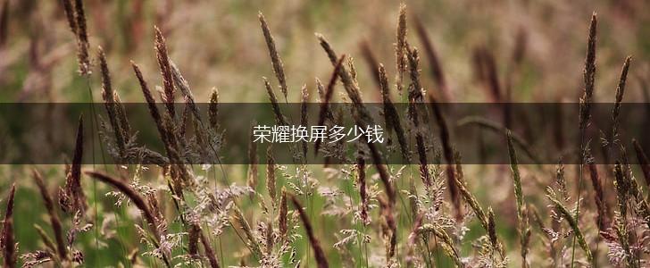 荣耀换屏多少钱,第1张