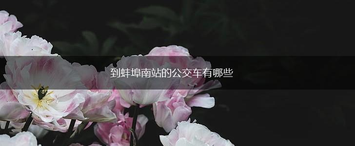 到蚌埠南站的公交车有哪些,第1张