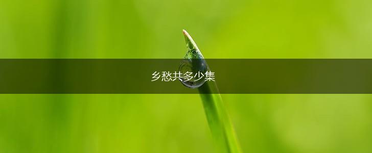 乡愁共多少集,第1张