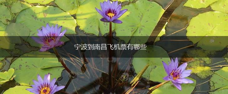 宁波到南昌飞机票有哪些,第1张
