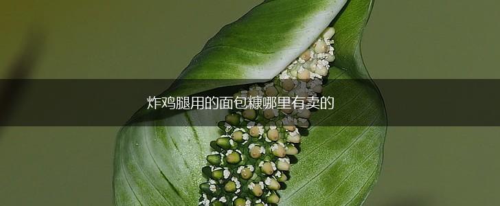 炸鸡腿用的面包糠哪里有卖的,第1张