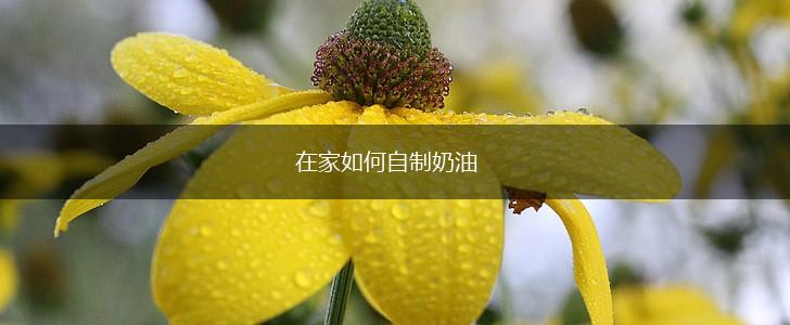 在家如何自制奶油,第1张