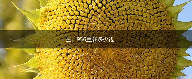 三一956重载多少钱,第1张