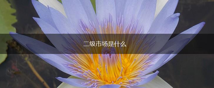 二级市场是什么,第1张