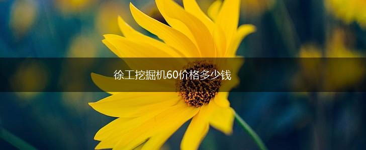 徐工挖掘机60价格多少钱,第1张