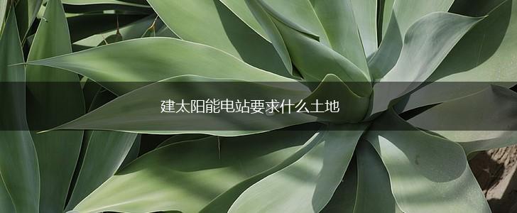 建太阳能电站要求什么土地,第1张