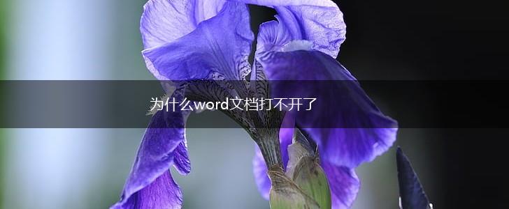 为什么word文档打不开了,第1张